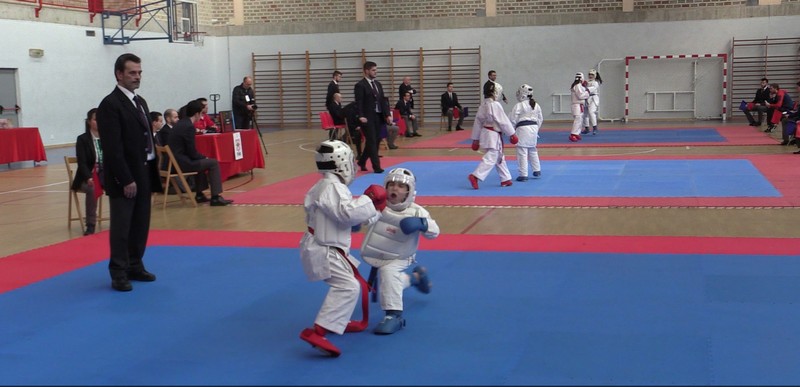 Campeonato Navarro Alev&iacute;n, Infantil y Juvenil de Kumite en Bara&ntilde;ain